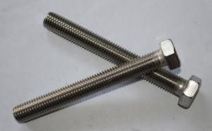 Stainless Steel Hex Cap Screw (M3~M100, 1/8&quot;~4&quot;)