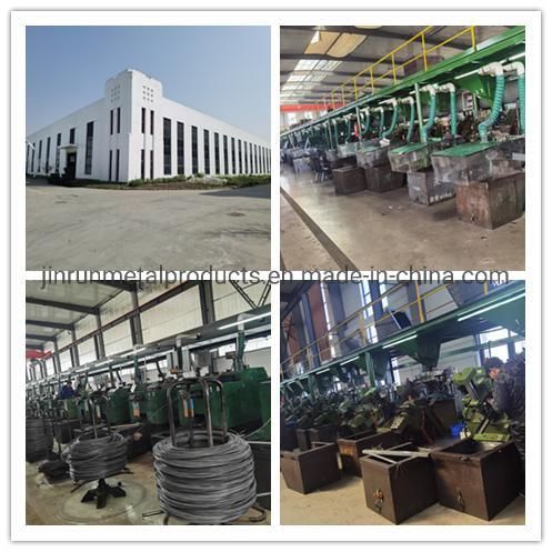 Hot Selling Screws Self Drilling Screws with Hex Washer Head Roofing Screws