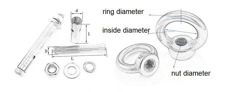 Stainless Steel A2 A4 Expansion Screw with Lifting Eye Nuts