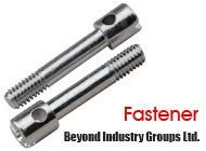 Screw Stainless Steel Screw A2/A4 Screw/Bolts Sealing Bolt