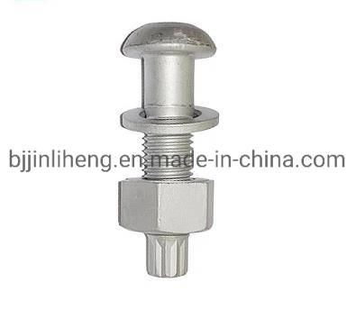 Hot DIP Galvanized Dacromet Round Head Tension Control Bolt A490tc Bolt