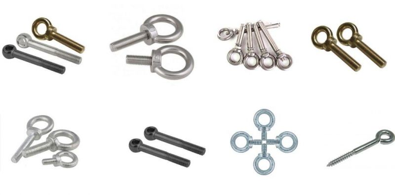 DIN580 DIN444 Stainless Steel SS316 A4-80 SS304 A2-70eye Nut and Eye Bolt