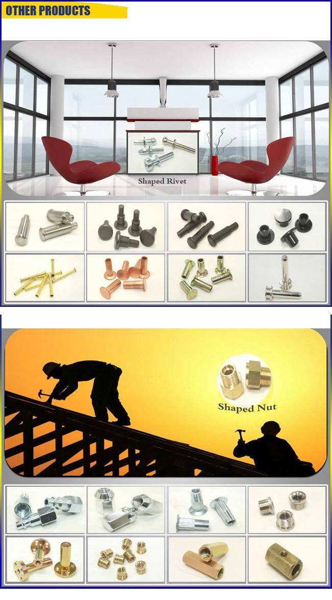 Over 10 Years Experience Steel Self-Tapping Screw