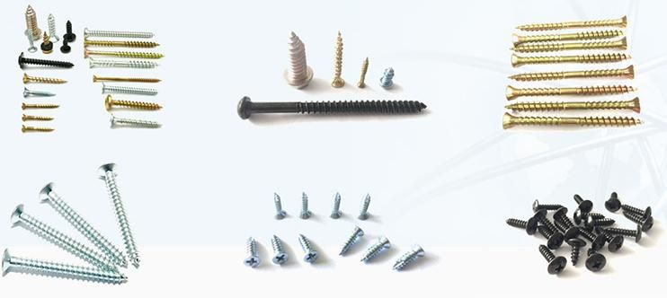 3.5X19mm Coarse Thread Drywall Screws with Black Phosphate Coated Good Quality Drywall Screw