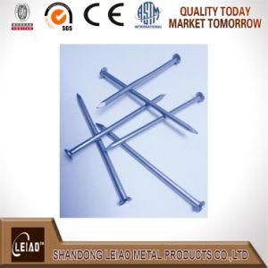 China Common Iron Nail/ Wire Nail