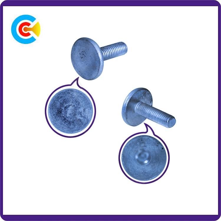 Carbon Steel 4.8/8.8/10.9 Galvanized/M6 Customized Plastic Fastener Round/Flat Head Screws