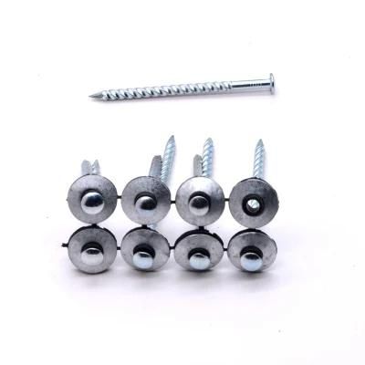 Bright Electro Galvanized Umbrella Roofing Nail with Washer