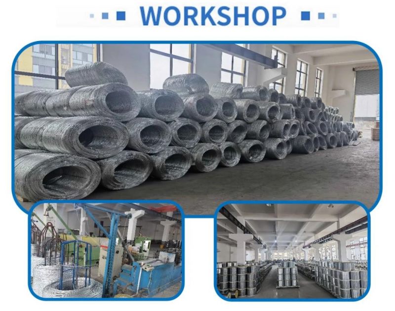 Galvanized Code Nail (100) Decoration Nail