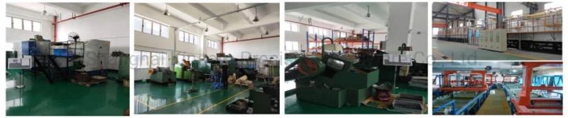 Special Double Head Bolt with Machine and Tapping Thread