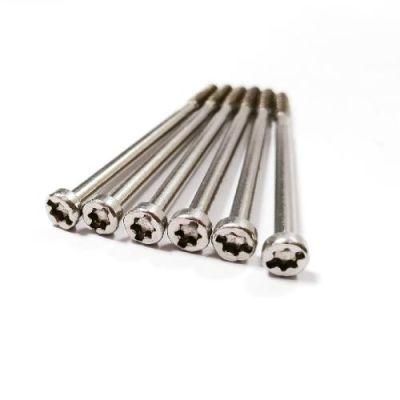 Customied Stainless Steel Cap Slotted Torx Cup Head Tapping Screw