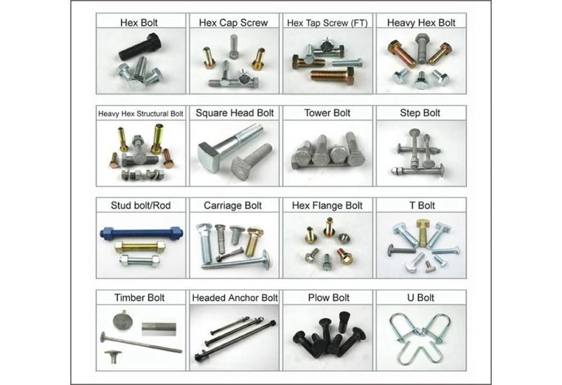 Hex Flange Head Screws with Phillips Self Tapping Screws