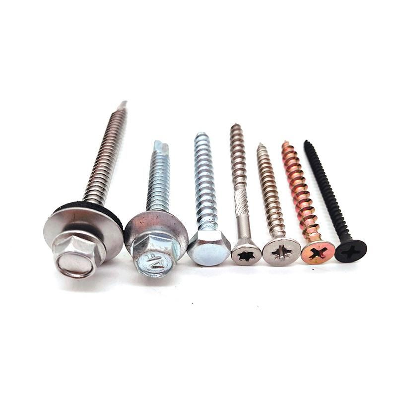 Stainless Steel Ss201 SS304 SS316 Self Tapping Screw DIN7981