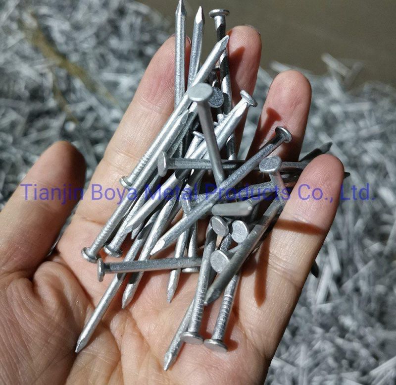 High Quality Polished Common Nails/Hardware/Galvanized/Hot Dipped Galvanized/Electro Galvanized Iron Nail From Tianjin Boya