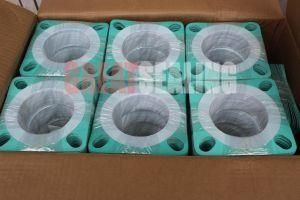 PTFE Envelope Gasket for Flange Joint Cnaf/PTFE Flat Gasket