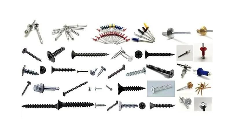 Phillips Bulge Head Drywall Screw for Plasterboard