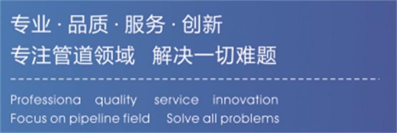 ASME/ANSI/DIN/En/GOST/BS/Uni/RF/FF/Rtj/150#-2500# Carbon Steel /Stainless Steel /Alloy Steel Forged Wn/So/Th/Pl/Sw/Lj/Bl Flange
