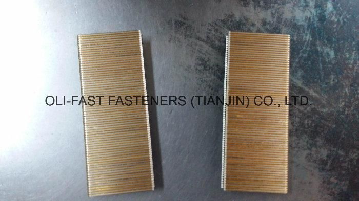 Bea 14 Series Heavy Wire Staples, 17ga, 140 Staples