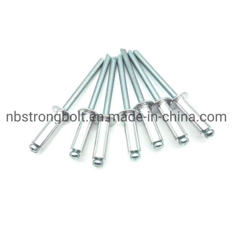 Open Rivet with Flat Round Head