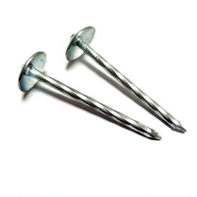 Bwg9X2.5&quot; Umbrella Roofing Nails Twisted Shank for Ghana Market 25bags/Carton