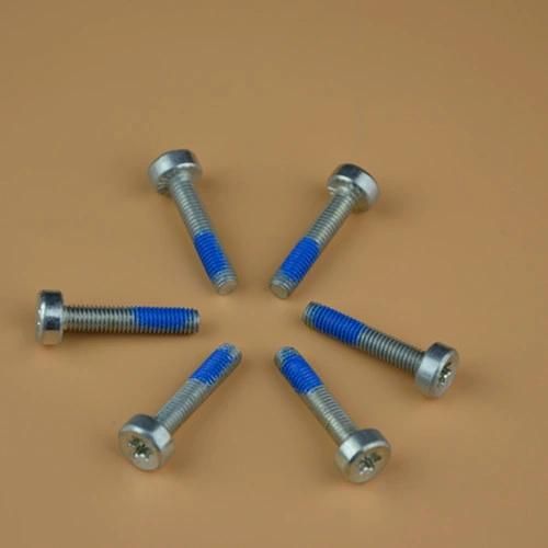 DIN912/DIN7984 Hex Socket Cap Bolt/ Screw/ Machine Screw Torx Screw Treminal Screw