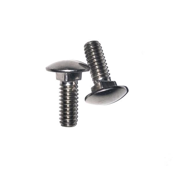 Customized Flat Head Square Neck Bolts/Carriage Bolt (M5~M20)