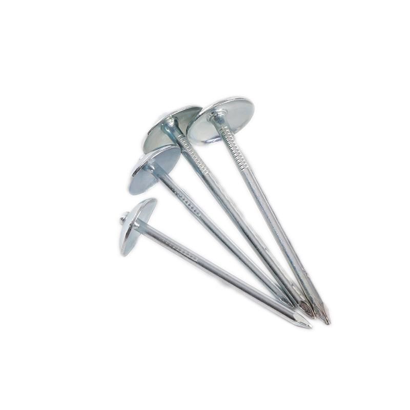 2′′ to 4′′ Q195 Polished Nail/Galvanized Iron Nail/ Roofing Nail/Ring Steel Nail/Coil Nail/U Type Nail/Metal Wire Nail for Construction