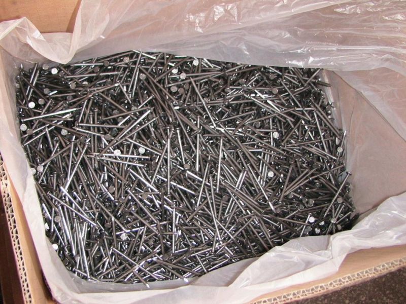 Linyi Factory Iron Wire Nails Supplier Common Building Construction Nails