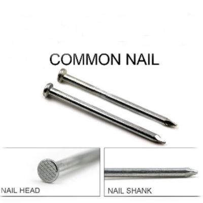 High Quality Polished Common Round Wire Nail