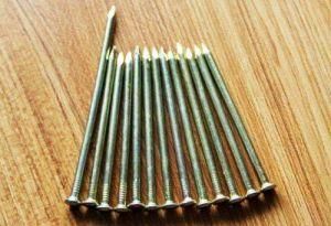 Building Material High Quality Galvanized Steel Nails