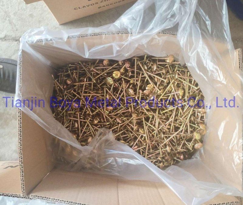 Prego Clavos / Galvanized Roofing Nails Plain and Twisted Shank