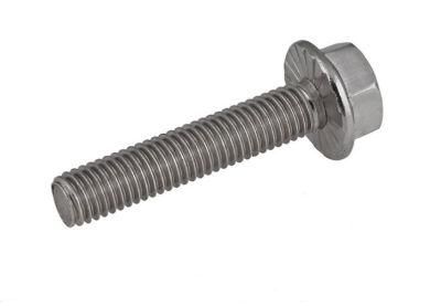DIN M6 Titanium Hexagon Head Flange Bolt Screw