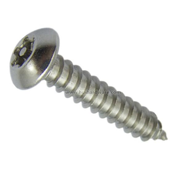 Stainless Steel 304 Torx Head Self-Tapping Security Screws