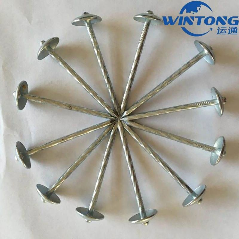 Factory Supply Galvanized Corrugated Sheet Nails Hot Sale Twisted Shank Umbrella Head Roofing Nails