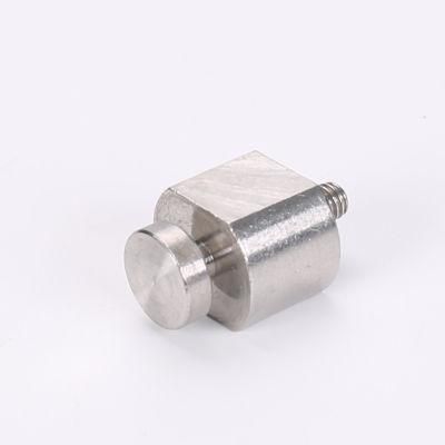 OEM Custom Stainless Steel Big Head Screw