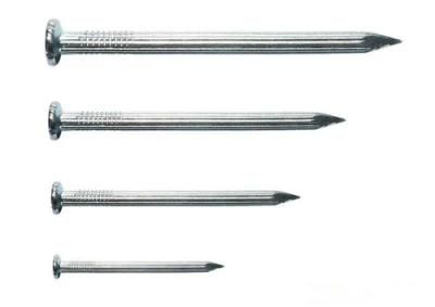 Galvanized Round Wire Steel Nails (25kg)