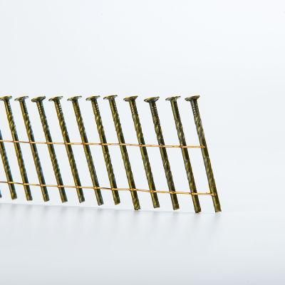 Low Price Diamond Point Screw Shank Coil Nails for Pallet