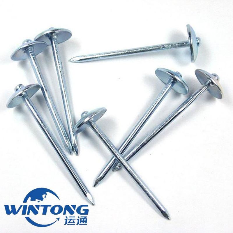 Supply of High Quality Galvanized Corrugated Nails Like Hot Custom Corrugated Nails
