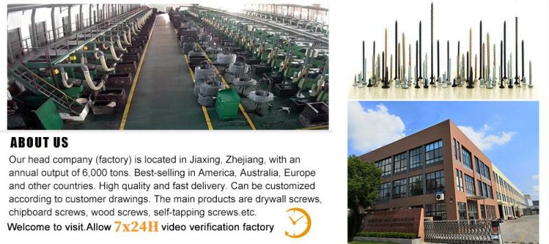 Pan Frame Head with Serration Phillips Black Gray Phosphating/Galvanizing Self Tapping Drilling Point Drywall Screw/Framing Screws