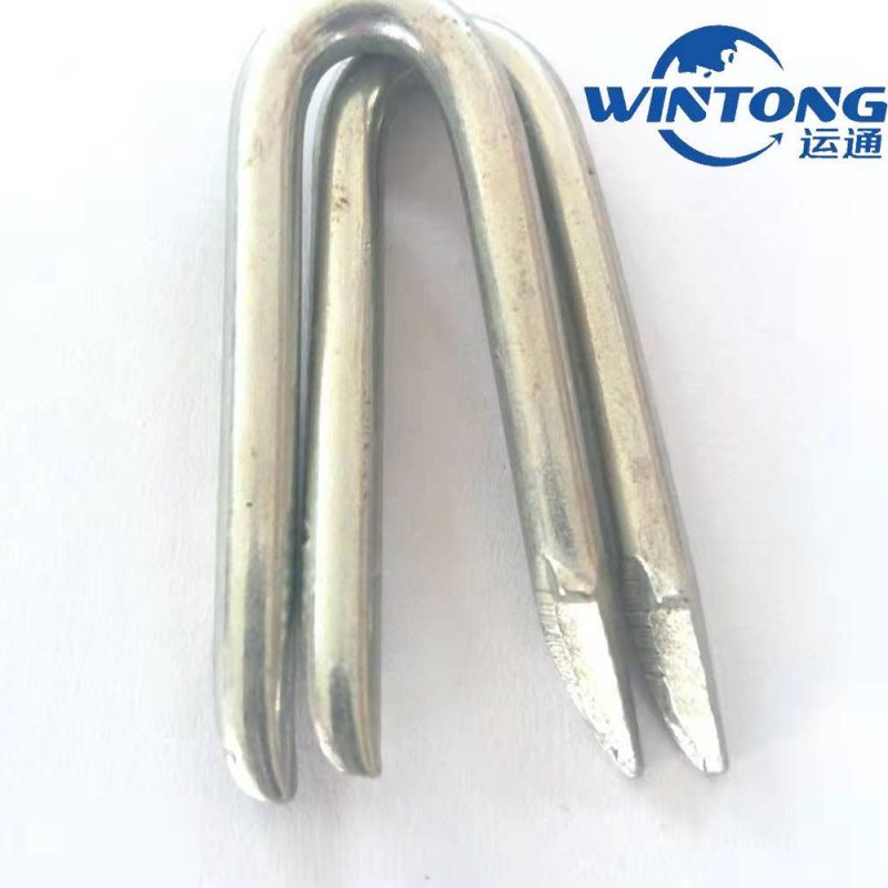 Square Head U-Shaped Iron Nail, Cold Drawn U-Nail, U-Shaped Steel Nail Manufacturer
