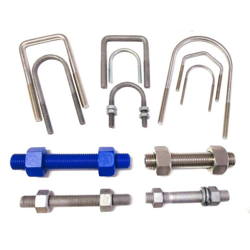 Stainless Steel 316 304 U Type Bolt (DIN3570) M8