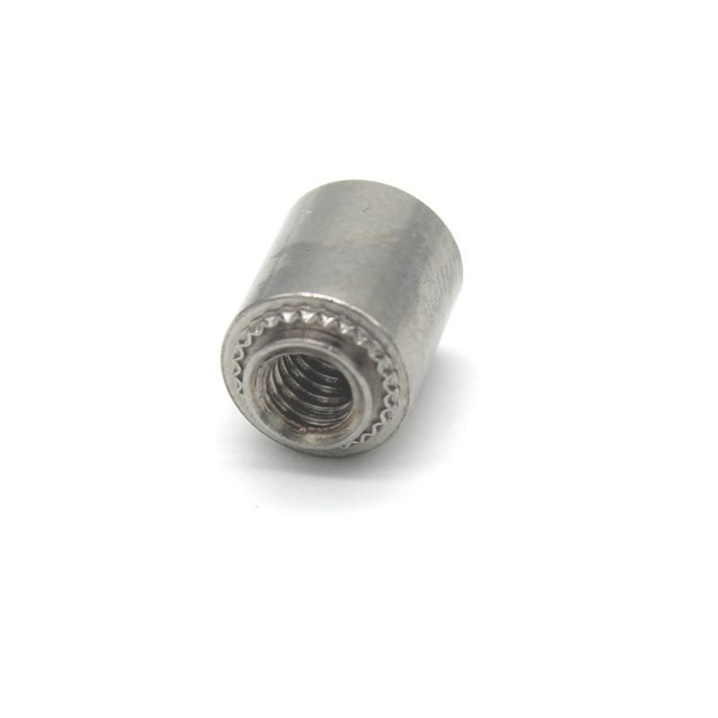 Insert Rivet Nut Closed Nut Column for Precision Industry