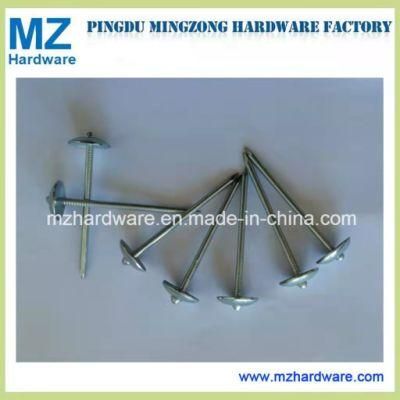 Umbrella Head Roofing Nail with Rubber Washer