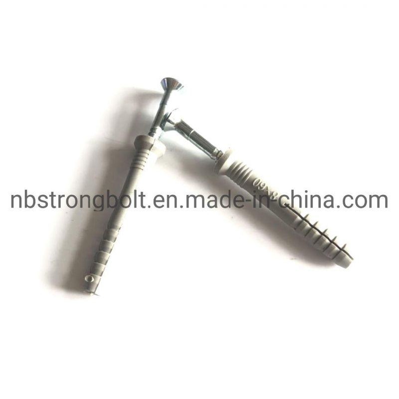 Nylon Hammer Drive Fixing Anchor Screw with Nail More Than 10 Years Produce Expricence Factory