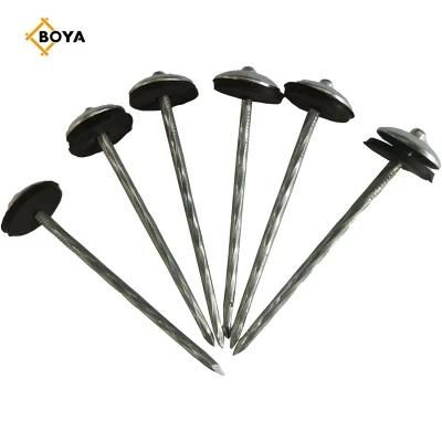 Umbrella Head Roofing Nails/Corrugated Nails Galvanized Twisted Shank with Gasket