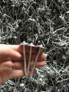 Galvanized Umbrella Head Smooth Shank Roofing Nail