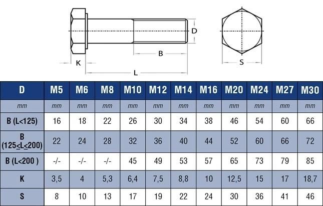 DIN931 Standard Stainless Steel Hex Bolt 200-600 Series