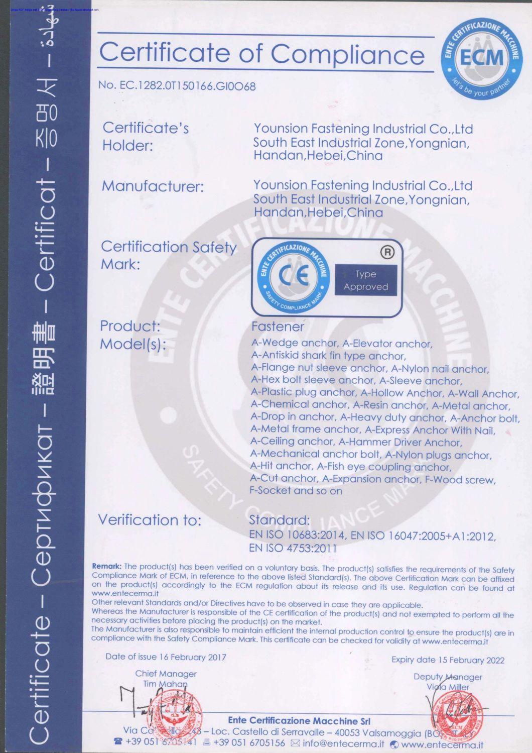 CE Eta Approval M6 M8 M10 M12 1/4 5/16 3/8 1/2 Strong Drop in Anchor with Zp Dac HDG