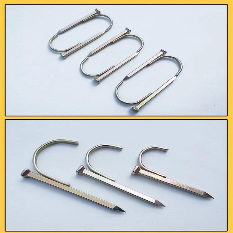 Metal and Dard Galvanized PPR Water Pipe Square Hook Steel Nail