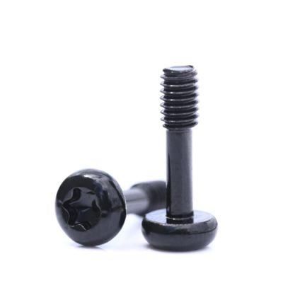 Hex Socket Cap Head Captive Screw