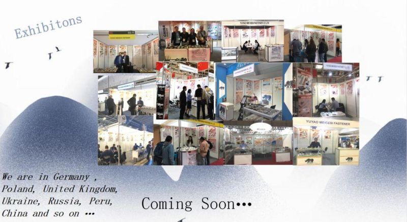 China Factory Directly Washer Manufacturer EPDM Bonded Washer